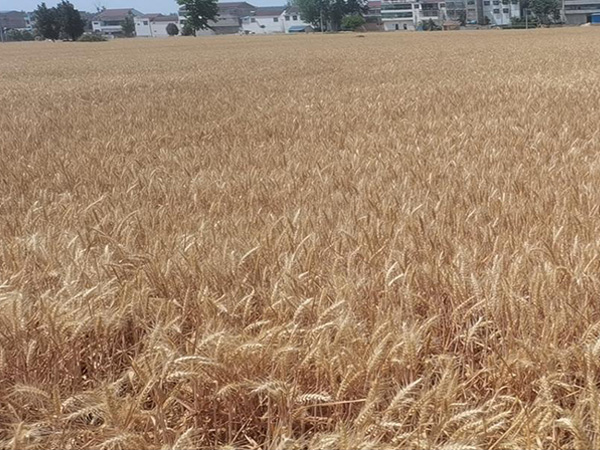 ������£���������������ӭ�����µ�����